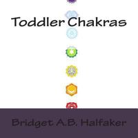 Toddler Chakras: Fundraiser Edition 1495261093 Book Cover