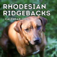 Rhodesian Ridgebacks Calendar 2021: 16-Month Calendar, Cute Gift Idea For Rhodesian Ridgeback Lovers, Women & Men B096LYPBDD Book Cover