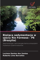 Biezaca sedymentacja w ujsciu Rio Formoso - PE (Brazylia) (Polish Edition) 6208402670 Book Cover