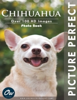 Chihuahua: Picture Perfect Photo Book B0CCCHTPD9 Book Cover
