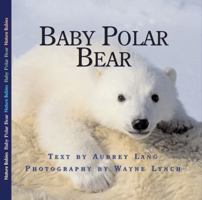 Baby Polar Bear 1554551021 Book Cover