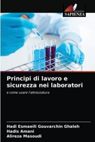 Principi di lavoro e sicurezza nei laboratori 6204033107 Book Cover