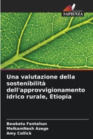 Una valutazione della sostenibilità dell'approvvigionamento idrico rurale, Etiopia (Italian Edition) 6207886690 Book Cover