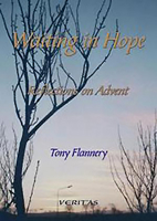 Waiting in Hope: Reflections on Advent 1853906670 Book Cover
