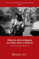 Historia afro-indígena en Chile, Perú y Bolivia: Reflexiones y propuestas teóricas (Spanish Edition) 9563573994 Book Cover