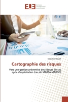 Cartographie des risques 6138480716 Book Cover