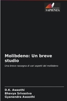 Molibdeno: Un breve studio 6204094513 Book Cover