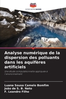 Analyse numérique de la dispersion des polluants dans les aquifères artificiels: Une étude computationnelle appliquée à l'environnement 6206343219 Book Cover