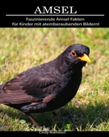 Amsel: Faszinierende Amsel Fakten f�r Kinder mit atemberaubenden Bildern! 1705597718 Book Cover