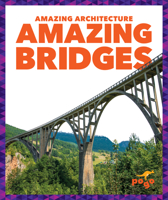 Amazing Bridges 1636907326 Book Cover