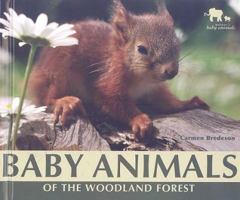 Baby Animals of the Woodland Forest 0766030059 Book Cover