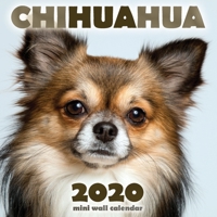 Chihuahua 2020 Mini Wall Calendar 1642525812 Book Cover