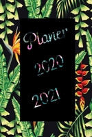 Planer 2020 / 2021: Tagesplaner f�r zwei Jahre / Plane und Organisiere f�r das Jahr 2020 und 2021 1708321063 Book Cover