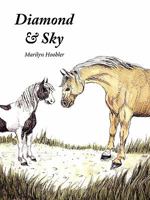 Diamond & Sky 0982206607 Book Cover