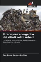 Il recupero energetico dei rifiuti solidi urbani: Le cause del sottoutilizzo del biogas proveniente dalle discariche in Brasile (Italian Edition) 620764526X Book Cover