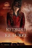 Kate's Outlaw 0989819205 Book Cover