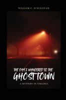 The Day I Wandered to the Ghost Town 1919322418 Book Cover