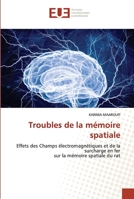 Troubles de la mémoire spatiale 6203451908 Book Cover