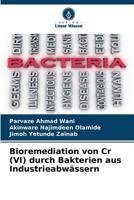 Bioremediation von Cr (VI) durch Bakterien aus Industrieabwässern (German Edition) 6206819590 Book Cover