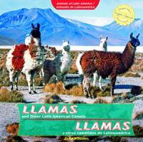Llamas Y Otros Camelidos De Latinoamerica / Llamas And Other Latin American Camels (Animals Of Latin America / Animales De Latinoamerica) 1435833899 Book Cover