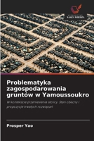 Problematyka zagospodarowania gruntów w Yamoussoukro (Polish Edition) 6209853358 Book Cover