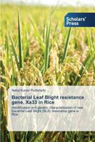 Bacterial Leaf Blight resistance gene, Xa33 in Rice 3639711203 Book Cover
