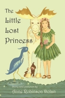 The Little Lost Princess 1439217459 Book Cover