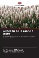 Sélection de la canne à sucre: Technique de floraison artificielle dans le monde et floraison naturelle (French Edition) 6203937460 Book Cover