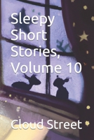 Sleepy Short Stories, Volume 10 B0C2S3HK9H Book Cover