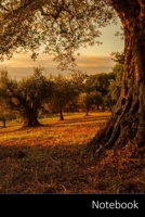 Notebook: Plantation, Puesta Del Sol, Naturaleza, Plantas Cuaderno / Diario / Libro de escritura / Notas - 6 x 9 pulgadas (15.24 x 22.86 cm), 110 p�ginas, superficie brillante. 1704892732 Book Cover