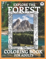 Explore The Forest Coloring Book For Adults: Explore Lovely Animals And Relaxing Nature Scenes With Realistic Coloring Images For Stress Relief B08KBV5D5H Book Cover