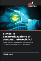 Sintesi e caratterizzazione di composti eterociclici 6206864065 Book Cover