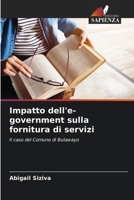 Impatto dell'e-government sulla fornitura di servizi: Il caso del Comune di Bulawayo (Italian Edition) 6207669134 Book Cover