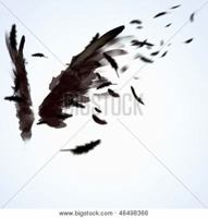 Broken Wing: Birds, Blades and Broken Promises 098357314X Book Cover