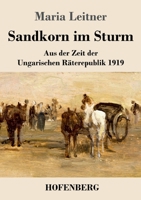 Sandkorn im Sturm: Aus der Zeit der Ungarischen R�terepublik 1919 3743740966 Book Cover