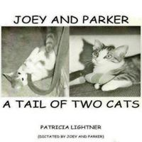 Joey and Parker a Tail of Two Cats 0578044218 Book Cover