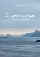 Djupet och ytan: En samling vardagsdikter (Swedish Edition) 9180971997 Book Cover