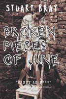 Broken pieces of June B09TGM87DT Book Cover