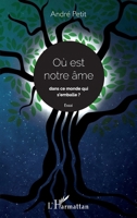 Où est notre âme dans ce monde qui s'emballe ? Essai (French Edition) 2343197202 Book Cover