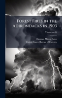 Forest Fires in the Adirondacks in 1903 1025220501 Book Cover