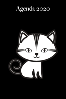 Agenda 2020: Agenda Hebdomadaire 2020 | 1 Semaine par page Format A5 | Janvier 2020 à Décembre 2020 | Planificateur Organiseur Semainier avec ... Blanc Animé sur Fond Noir 1707531293 Book Cover
