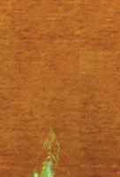 Among Us 0578499762 Book Cover