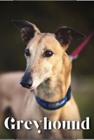 Greyhound: Dog breed overview and guide B0C9SBVLXS Book Cover