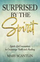 Surprised by the Spirit: Spirit-Led Encounters to Encourage Faith and Healing 0999783793 Book Cover