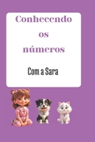 Conhecendo os números com a Sara (Portuguese Edition) B0CR8GTX45 Book Cover