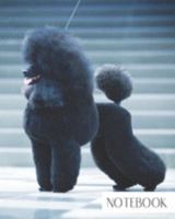 Notebook: Large College Ruled Notebook for Everyday Use Fluffy Black Poodle 1691288365 Book Cover