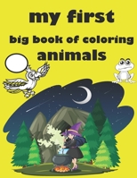 my first big book of coloring animals: Practice Handwriting and Color Hand Drawn Illustrations Preschool, Kindergarten B08PLWMW12 Book Cover