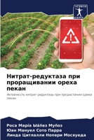 Нитрат-редуктаза при про 6206875628 Book Cover