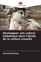 Développer une culture esthétique dans l'étude de la culture visuelle 6206051374 Book Cover