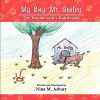 My Boy, Mr. Bailey - The Trouble with a Rattlesnake 1612045383 Book Cover